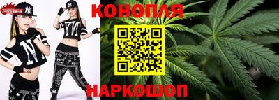 гидропоника Аша