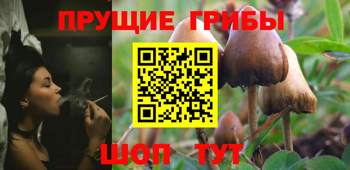 Псилоцибиновые грибы мухоморы Жигулёвск